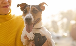 กลิ่นปากใครคิดว่าไม่สำคัญ